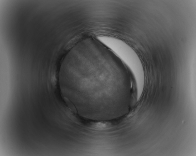 X0000091910566200709261718