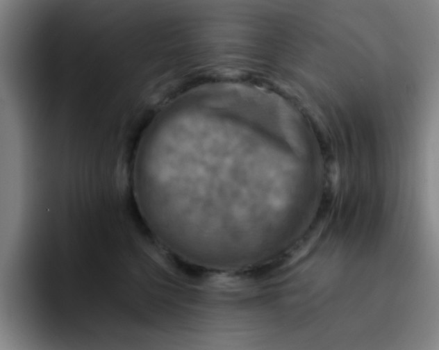 X0000091910568200709261718