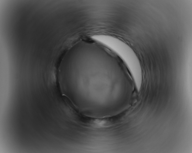 X0000091910570200709261718