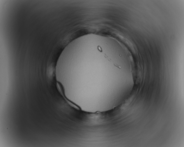 X0000091910574200709261718