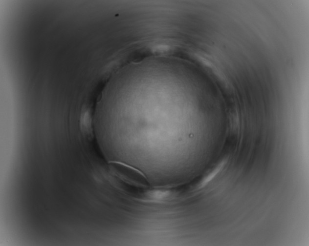 X0000091910575200709261718