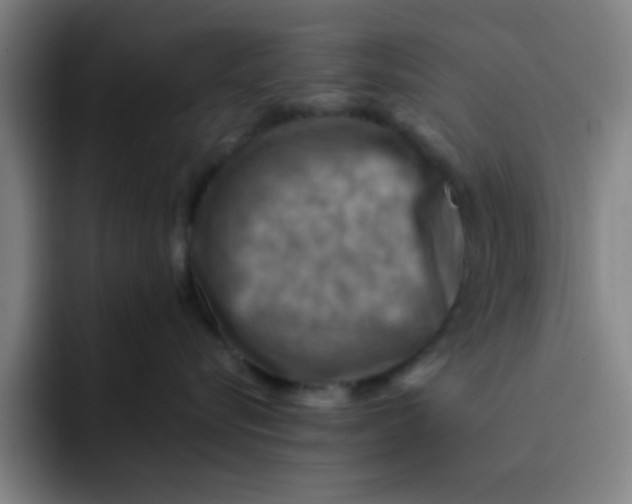 X0000091910576200709261718