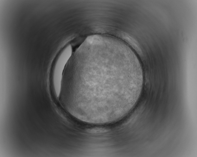 X0000091910578200709261717