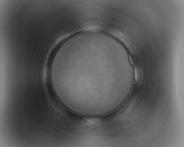 X0000091910579200709261717