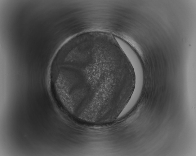 X0000091910580200709261717