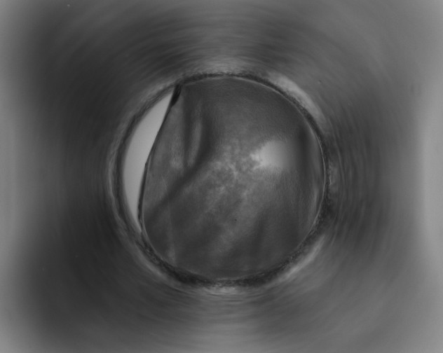 X0000091910581200709261717