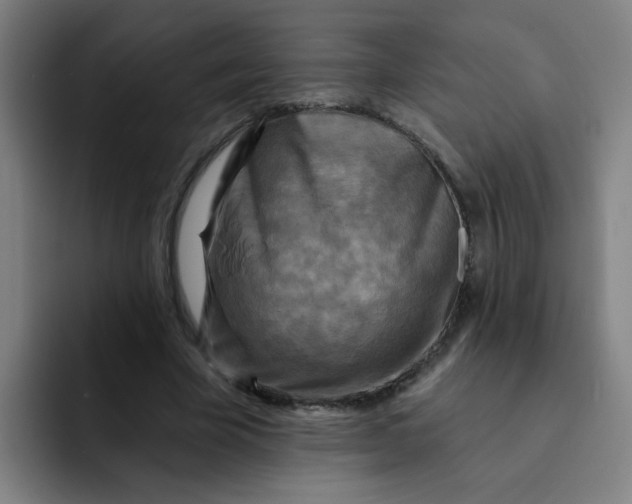 X0000091910585200709261717