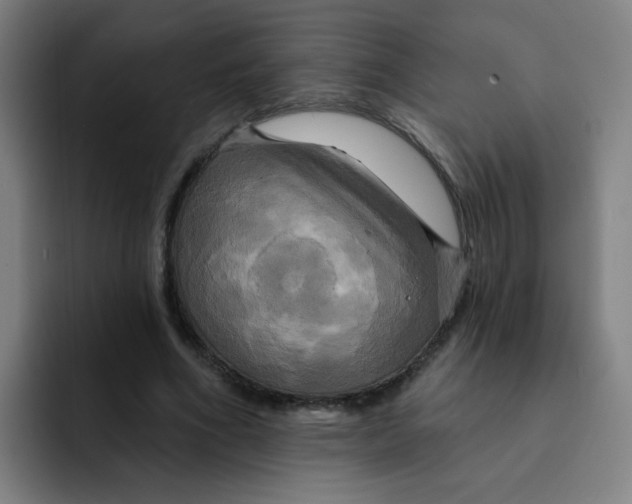 X0000091910586200709261717