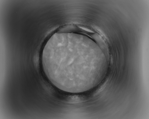 X0000091910588200709261717