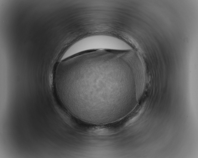 X0000091910589200709261717