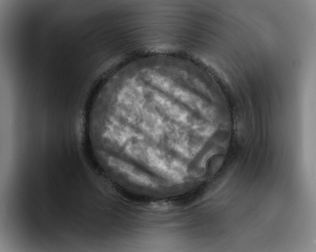 X0000091910591200709261717