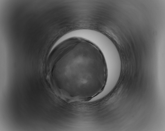 X0000091910593200709261717