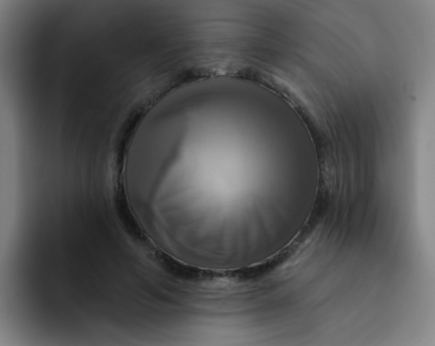 X0000091910594200709261717