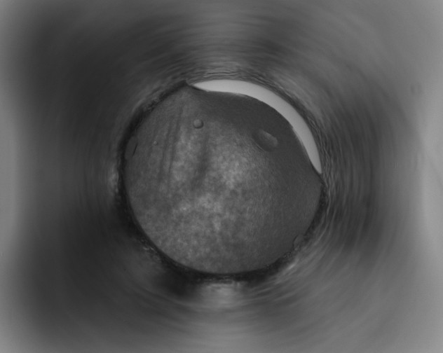 X0000091910595200709261717