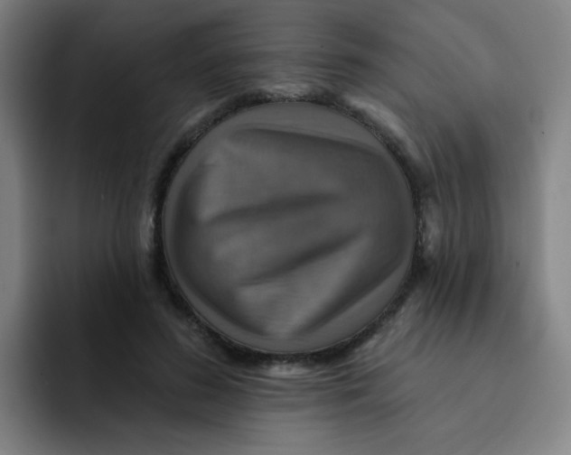 X0000091910596200709261717