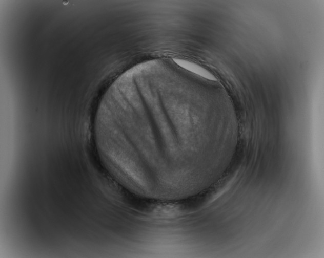 X0000091910599200709261717