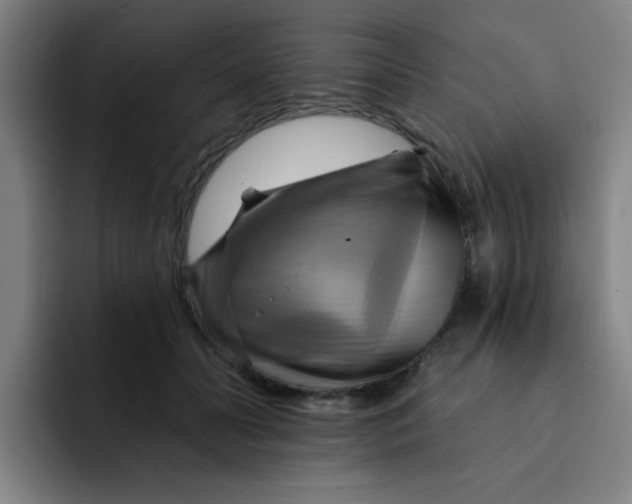 X0000091910606200709261717