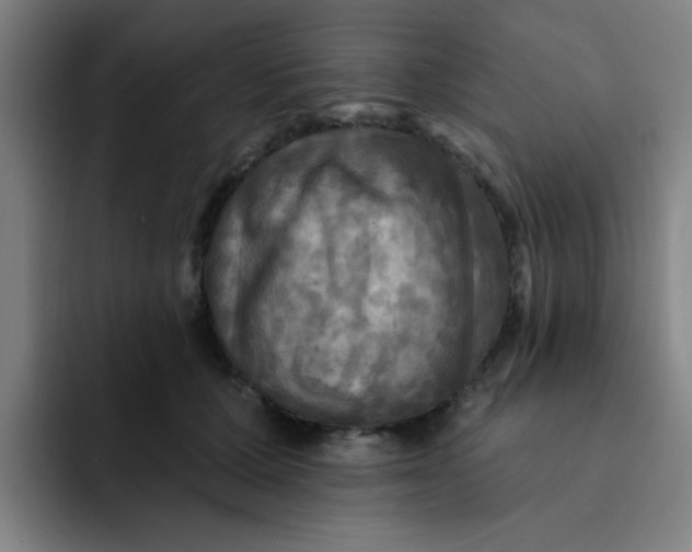 X0000091910607200709261717