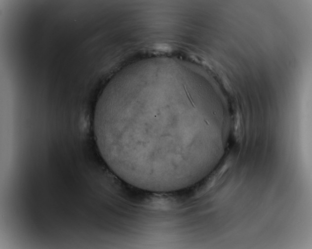 X0000091910608200709261717