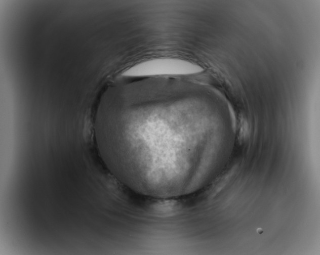 X0000091910609200709261717