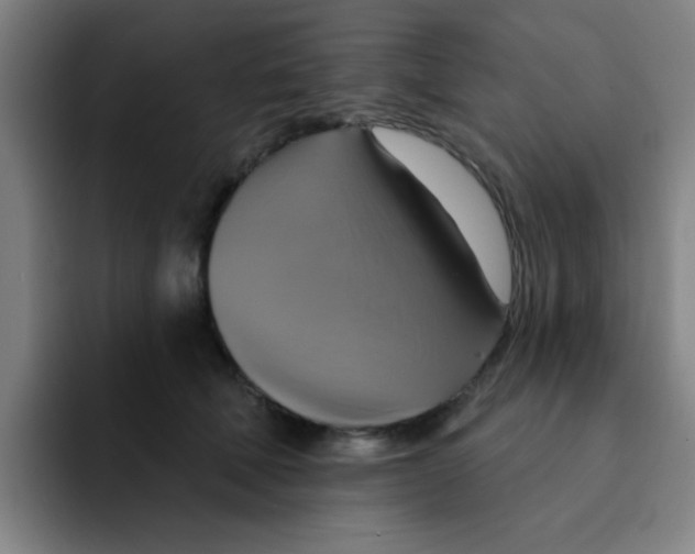 X0000091910610200709261717