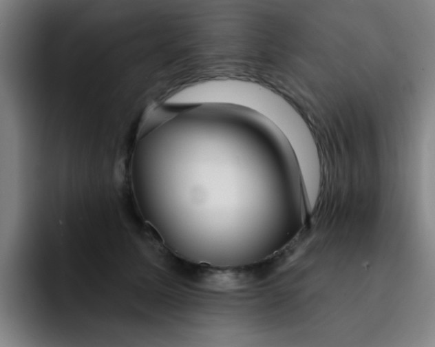 X0000091910611200709261717