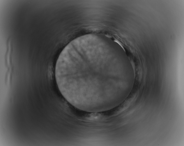 X0000091910612200709261717