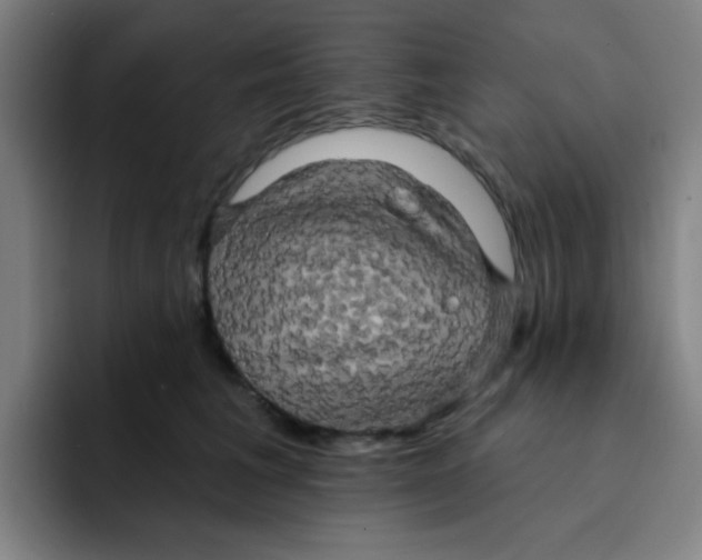 X0000091910613200709261717