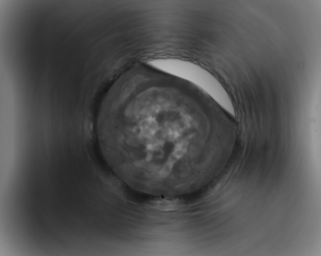 X0000091910615200709261717