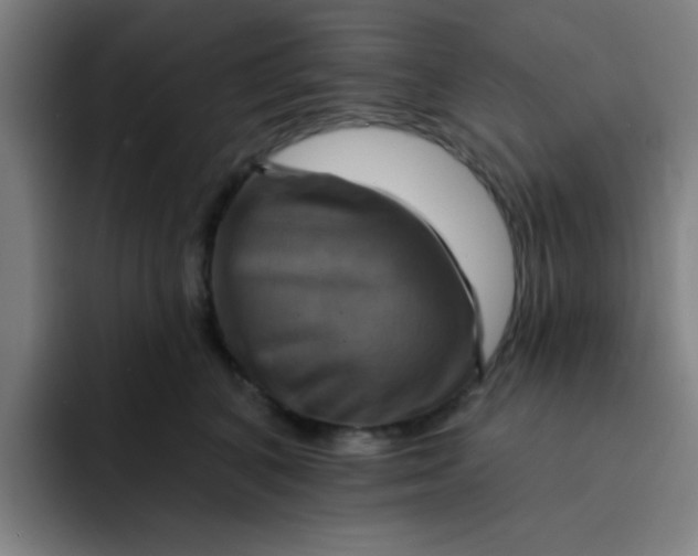 X0000091910616200709261717