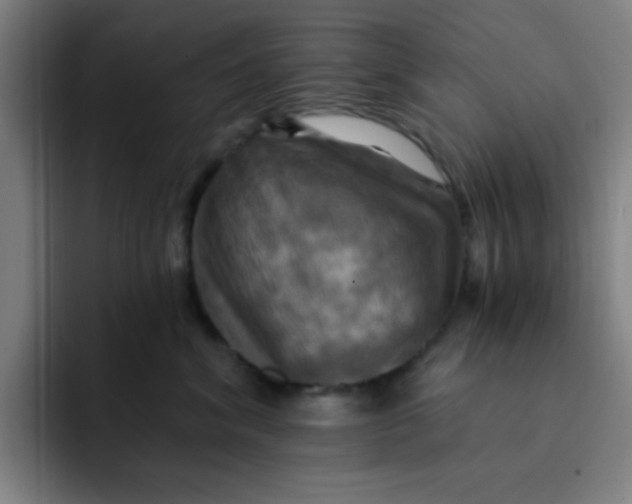 X0000091910620200709261717