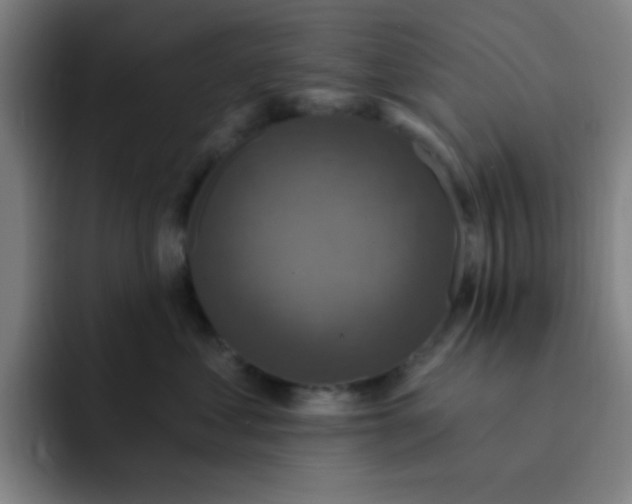 X0000091910621200709261717