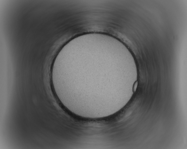 X0000091910625200709261716