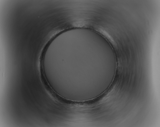 X0000091910626200709261716