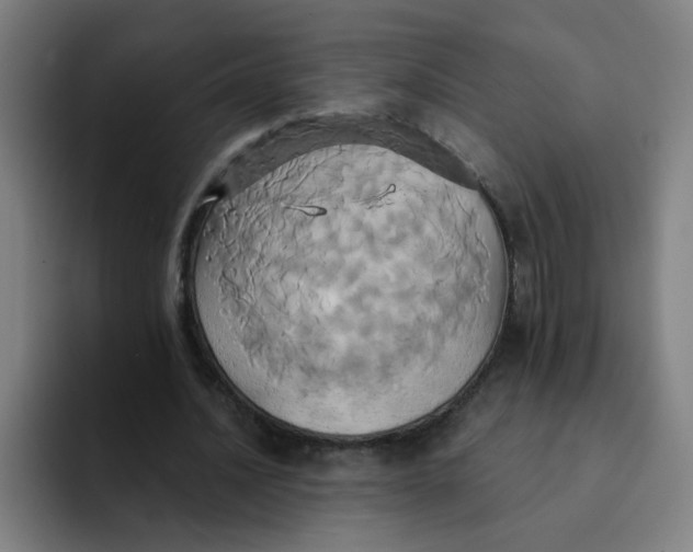 X0000091910628200709261716