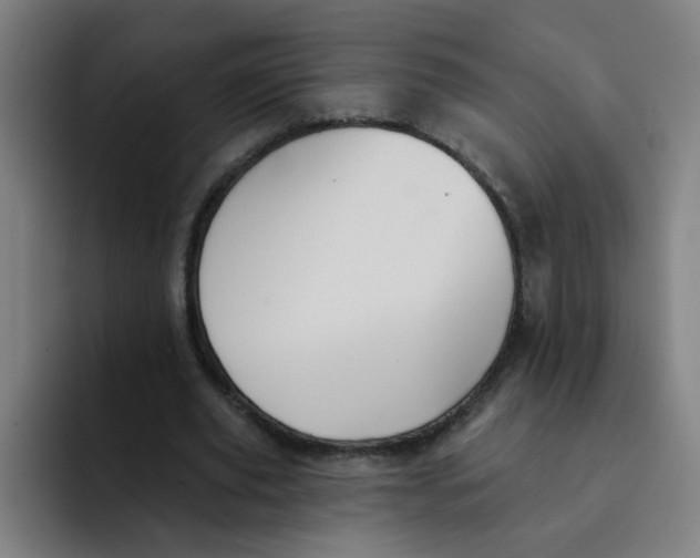 X0000091910629200709261716