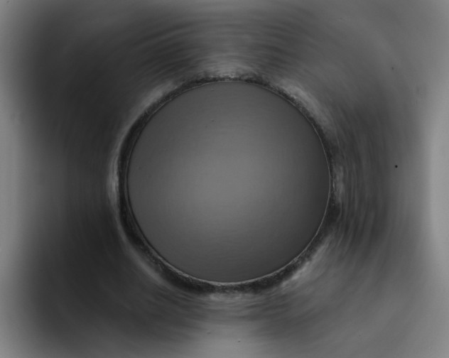 X0000091910630200709261716