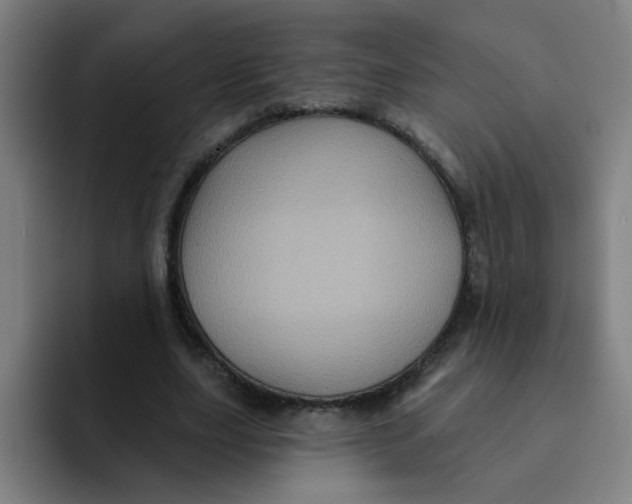 X0000091910631200709261716