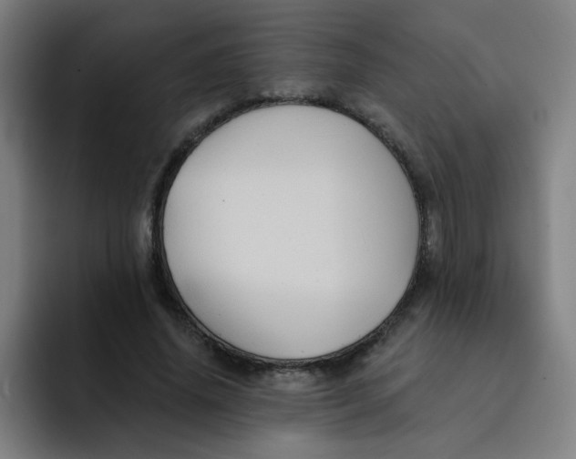 X0000091910636200709261716