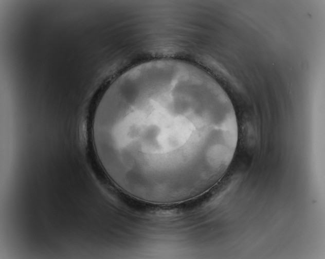 X0000091910638200709261716