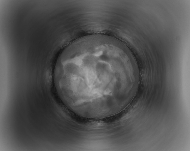 X0000091910642200709261716