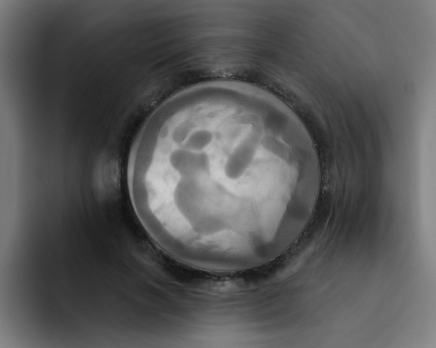 X0000091910646200709261716