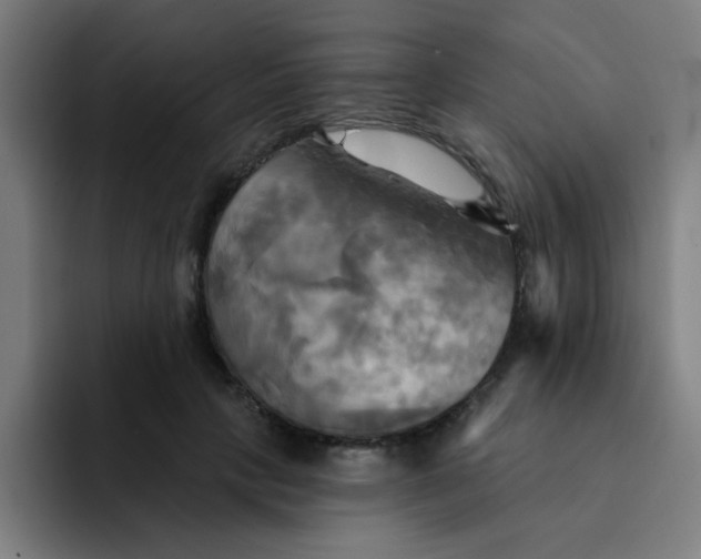 X0000091910649200709261716