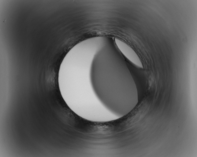 X0000091910650200709261716