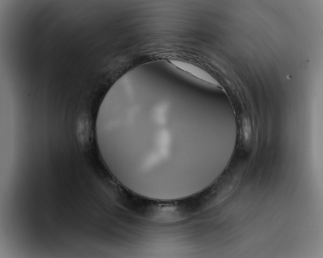 X0000091910651200709261716