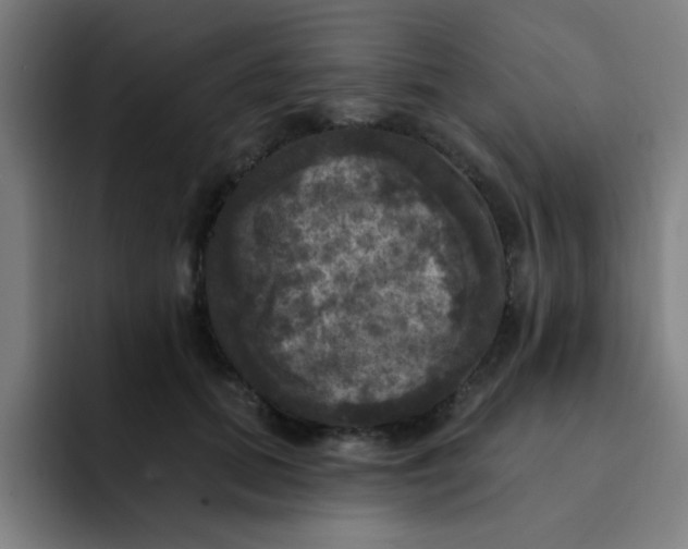 X0000091910655200709261716