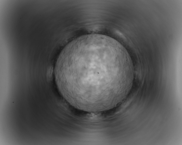 X0000091910660200709261716