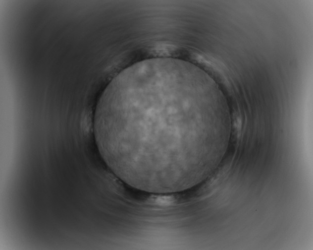 X0000091910665200709261716