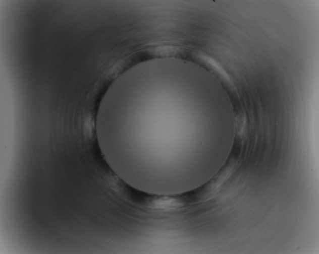 X0000091910669200709261717