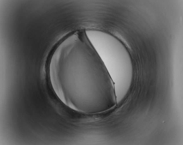 X0000091910674200709261716